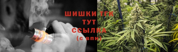 крисы Армянск