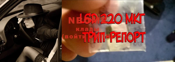 крисы Армянск