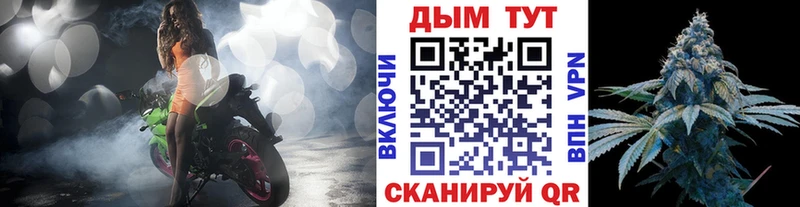 Купить где  Приморск  Бошки Шишки семена 